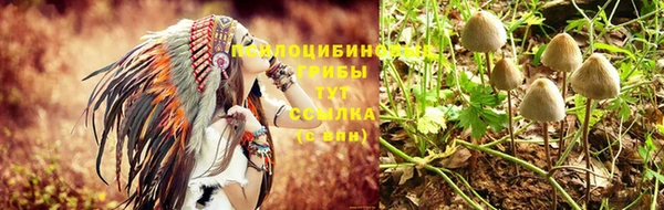 трава Беломорск