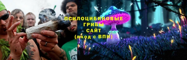 прущая мука Белокуриха