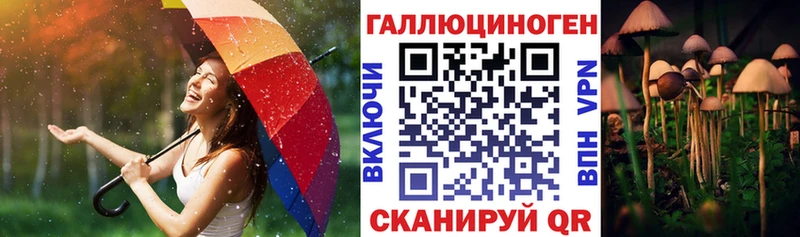 купить наркоту Велиж Псилоцибиновые грибы мицелий